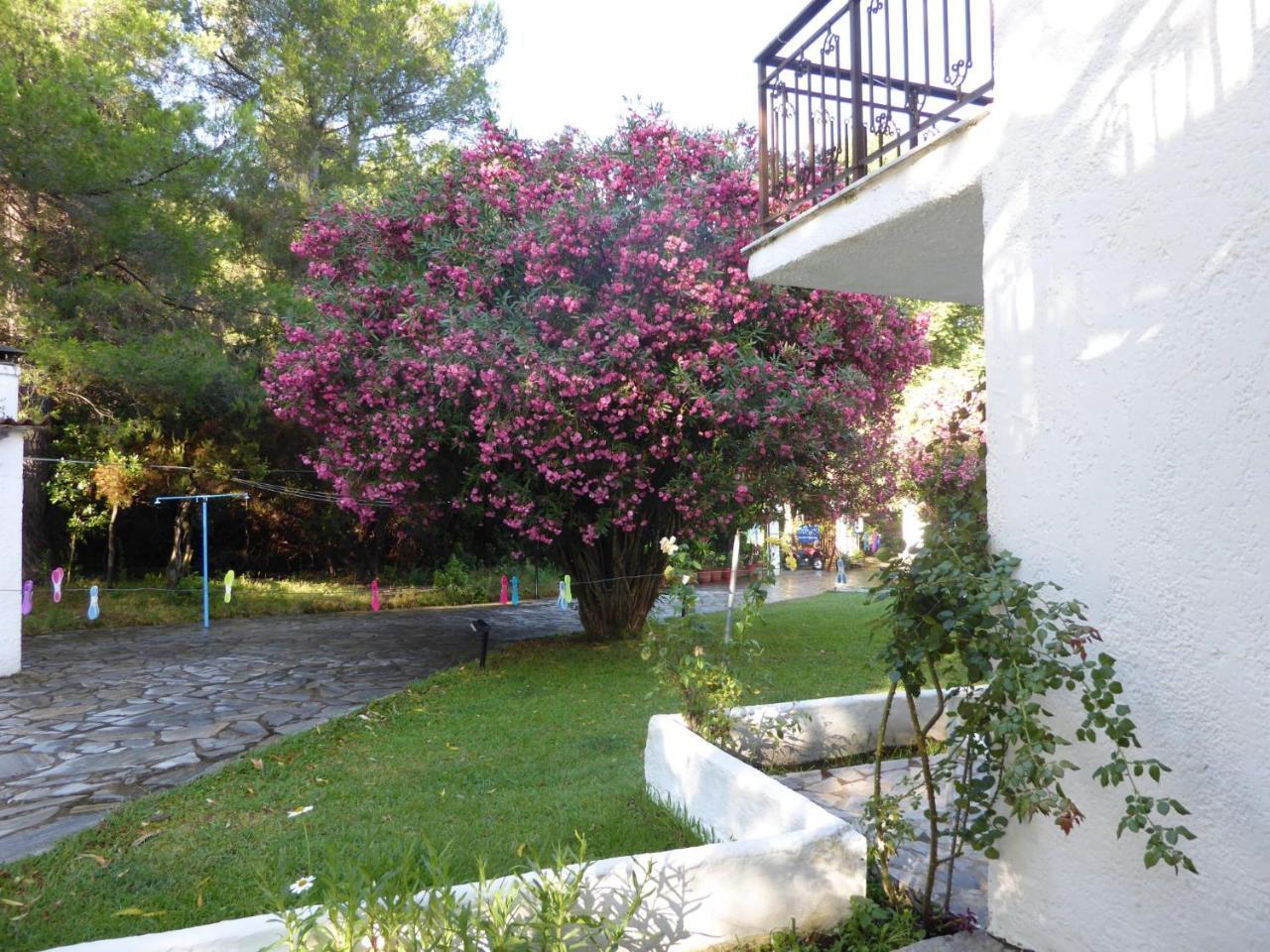 Amalia Apartments Koukounaries Exterior foto